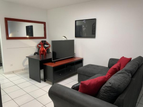 Très bel Appartement cosy proche de la gare et de l'hôpital - IMMOMMER